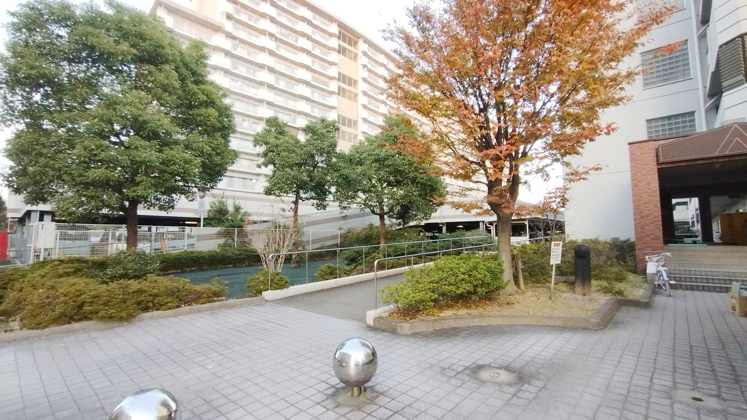 樹木が多くゆとりある敷地内