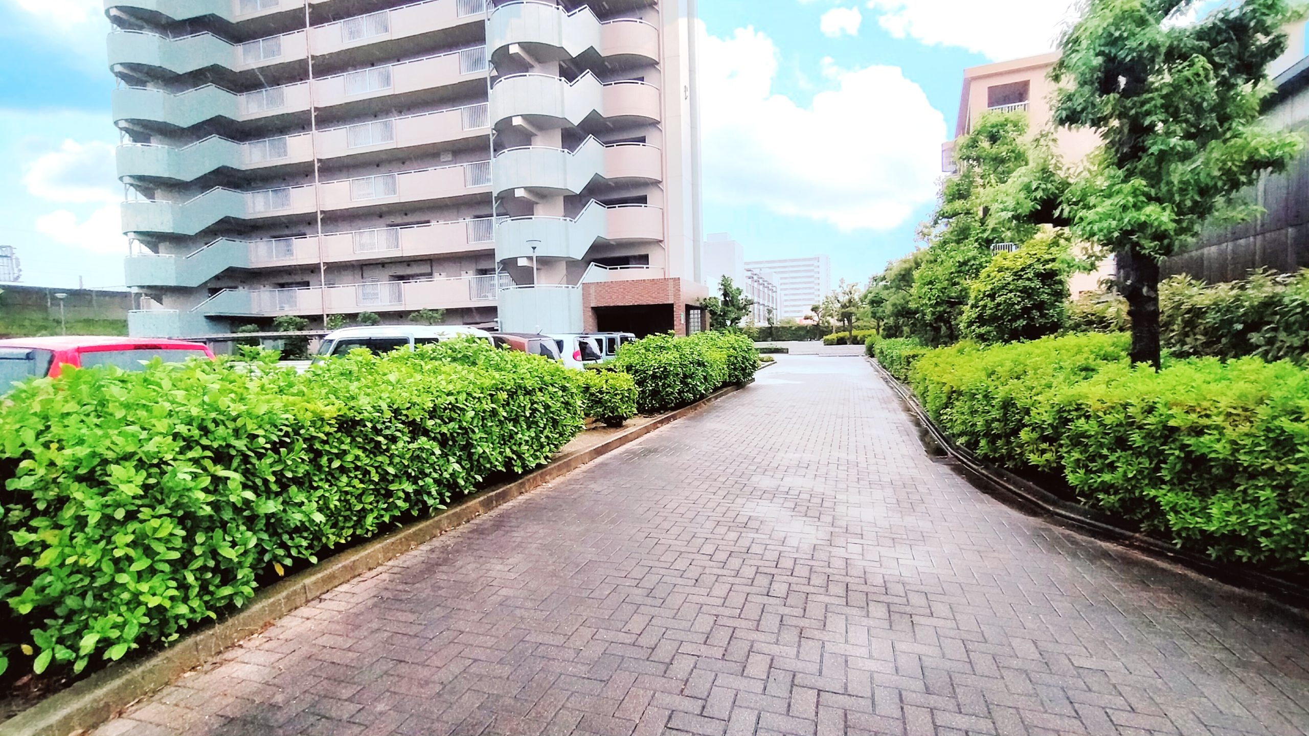 C棟外構 緑が多く、広々しています