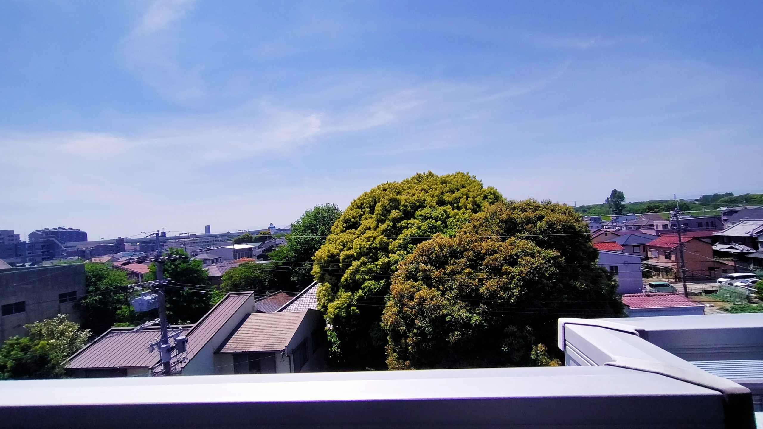 西側バルコニー眺望 目の前には寺院があり緑が多く眺望良好です