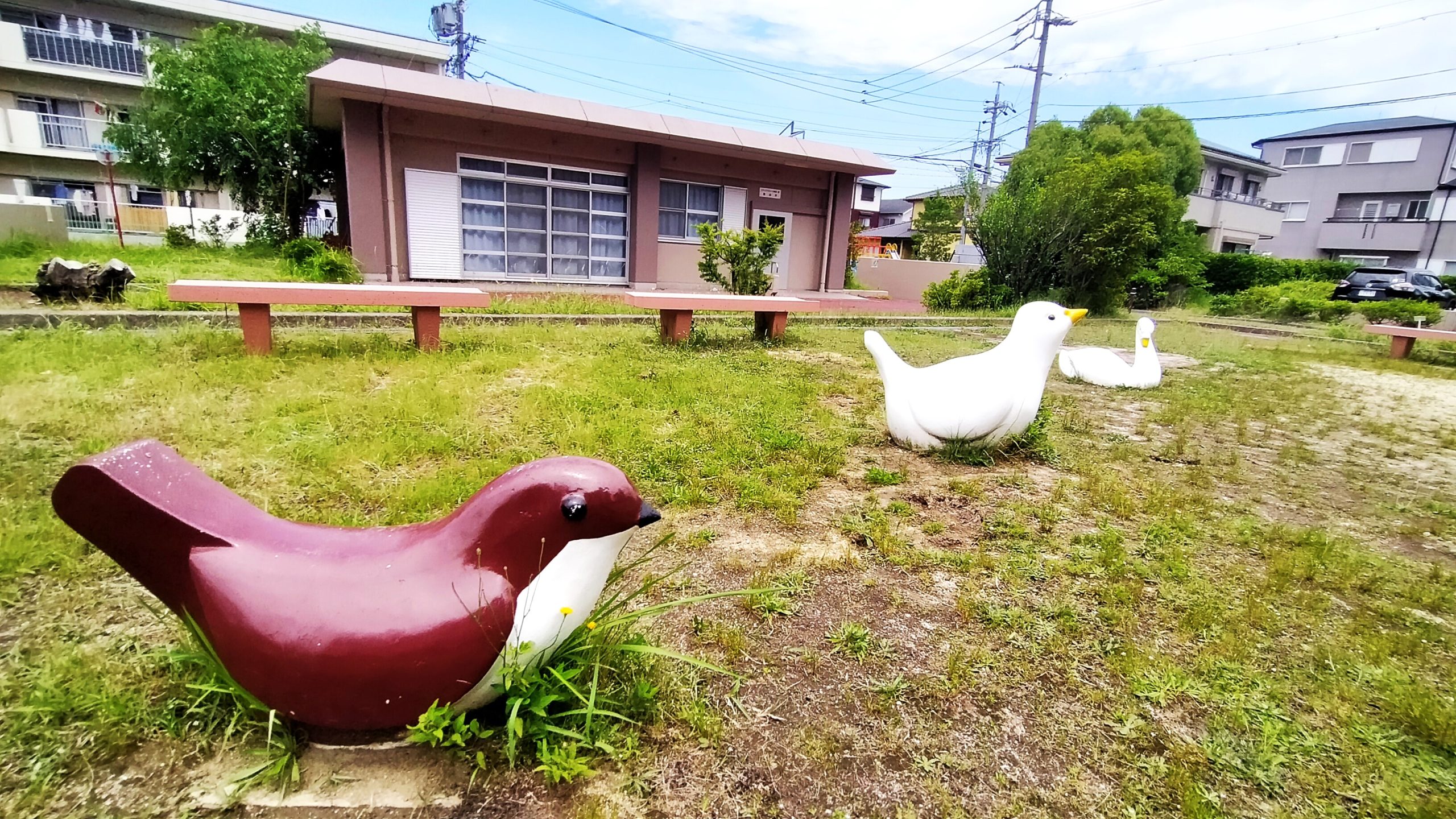 すずめ、はと、はくちょうも見守っています