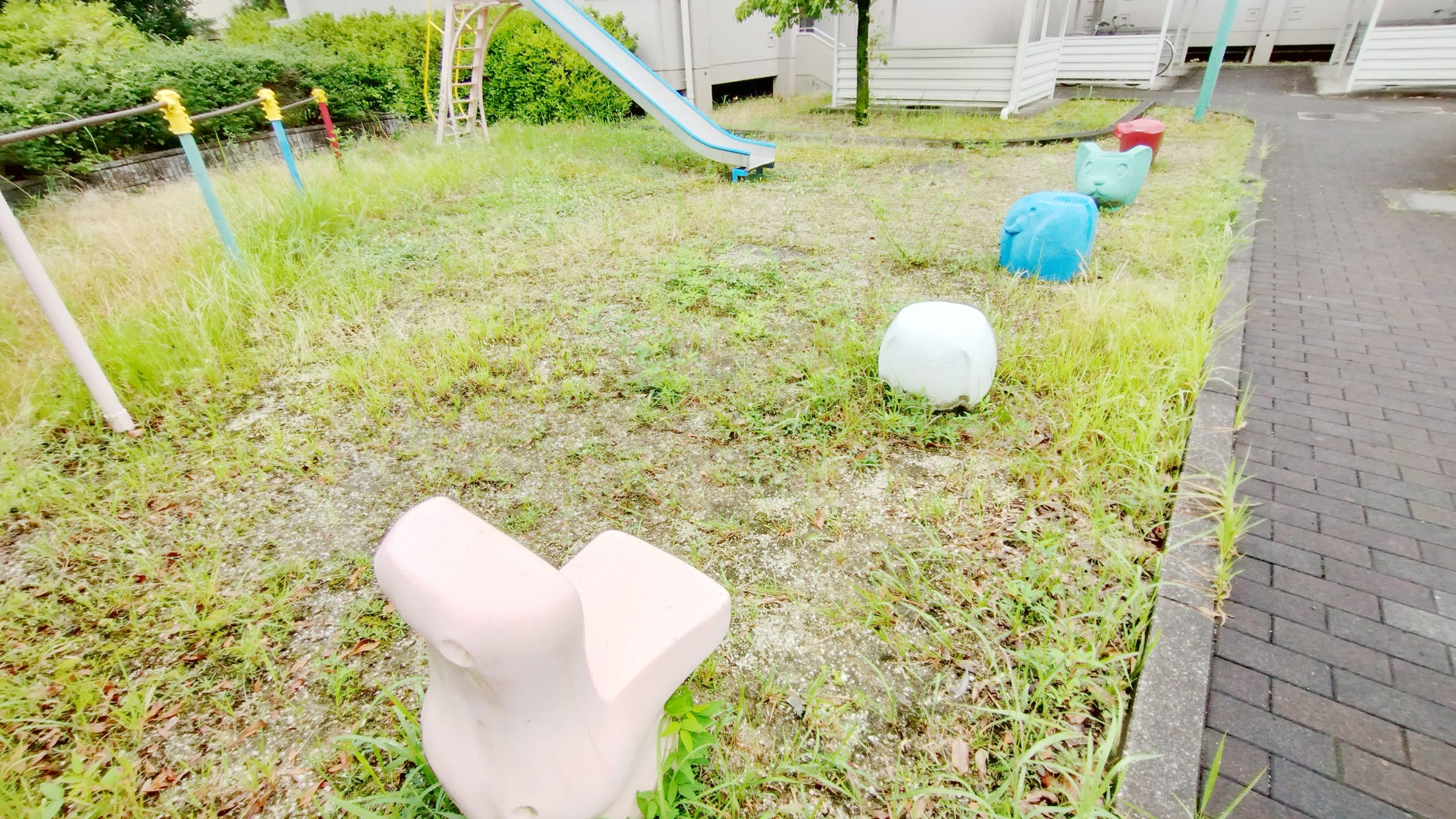 かば、いぬ、ぞうたちも見守っています・・・