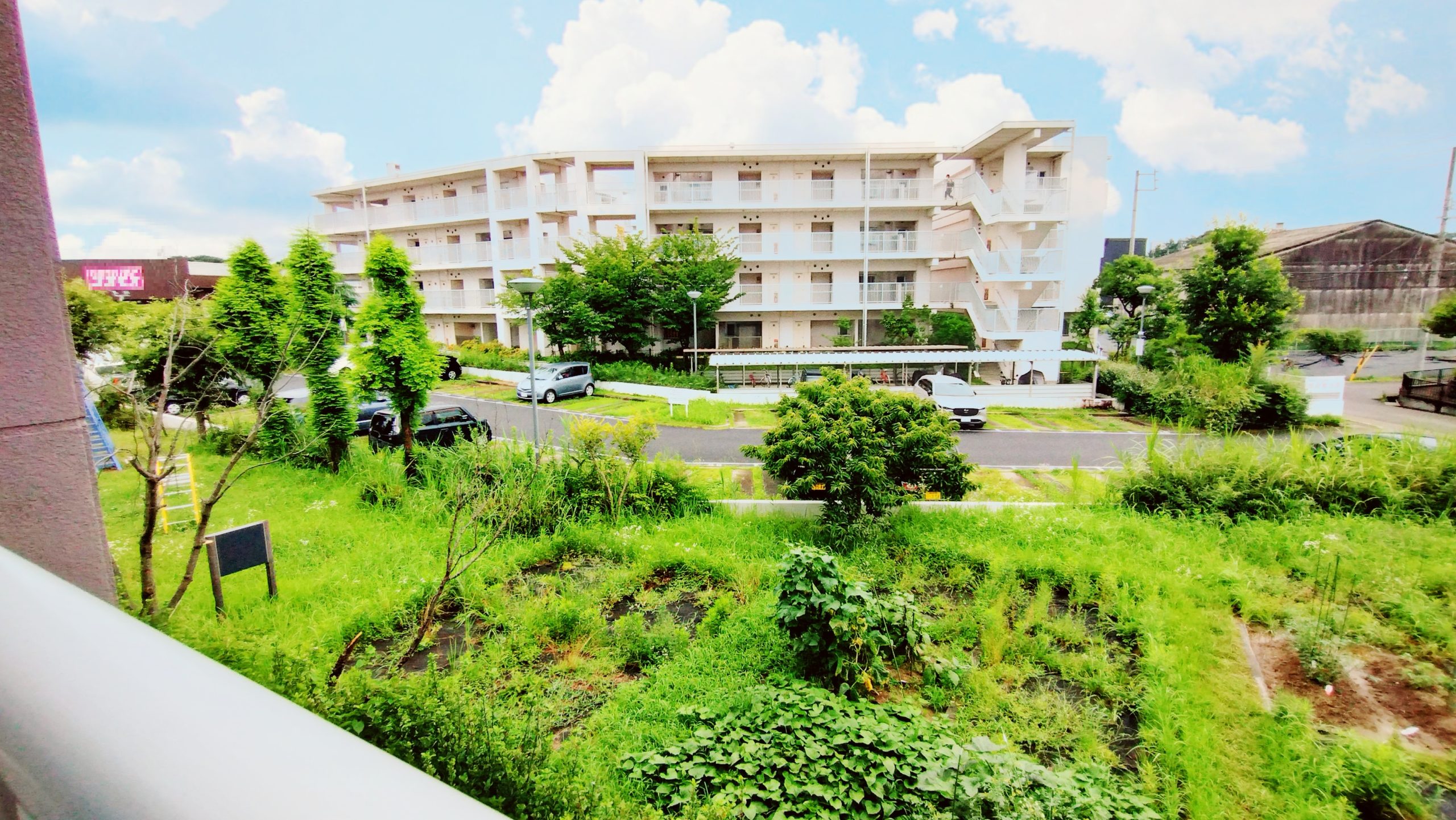 区画を申し込めば敷地内で家庭菜園も出来ますよ