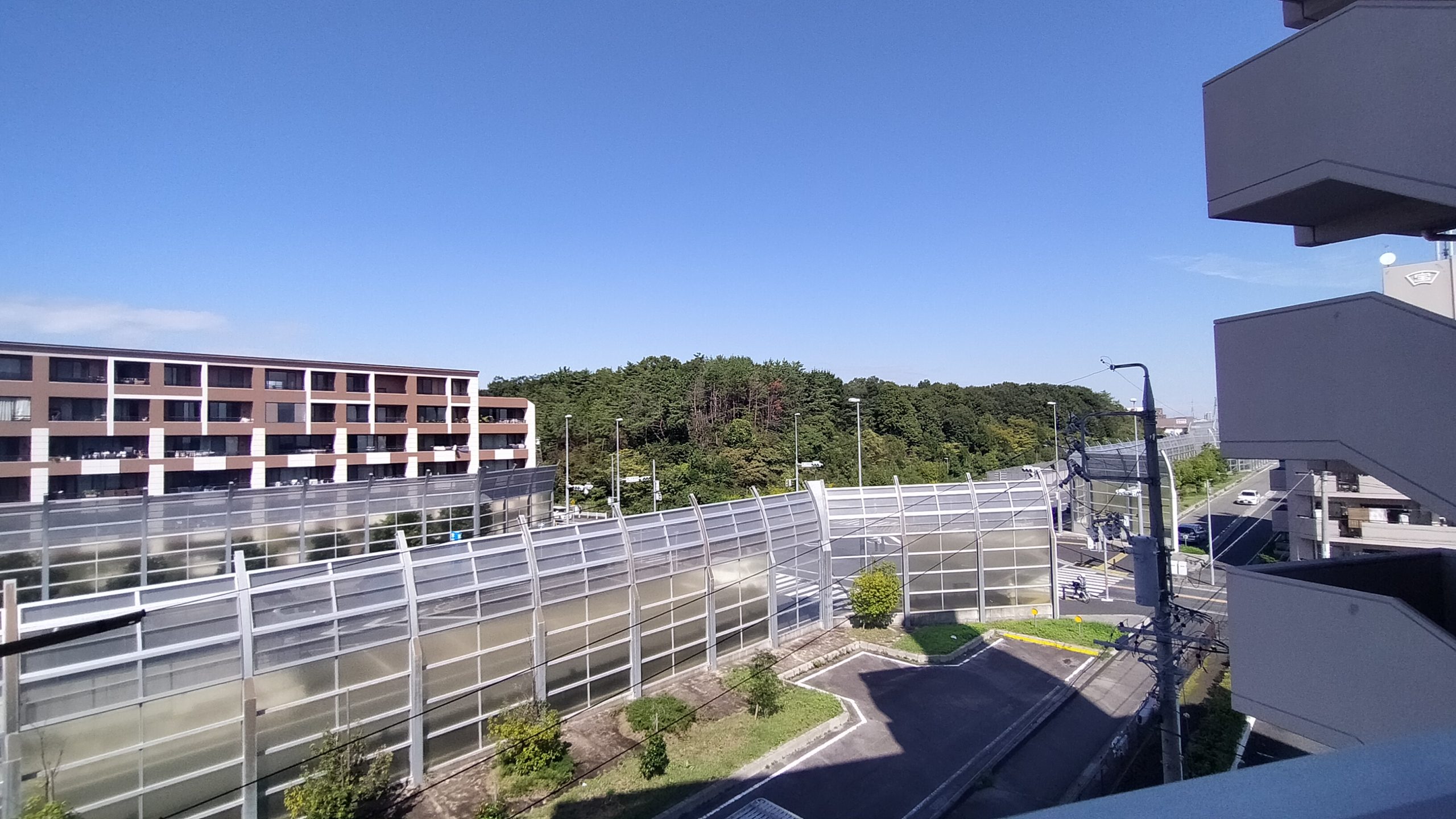 近くには滝の水緑地もありおさんぽに最適!