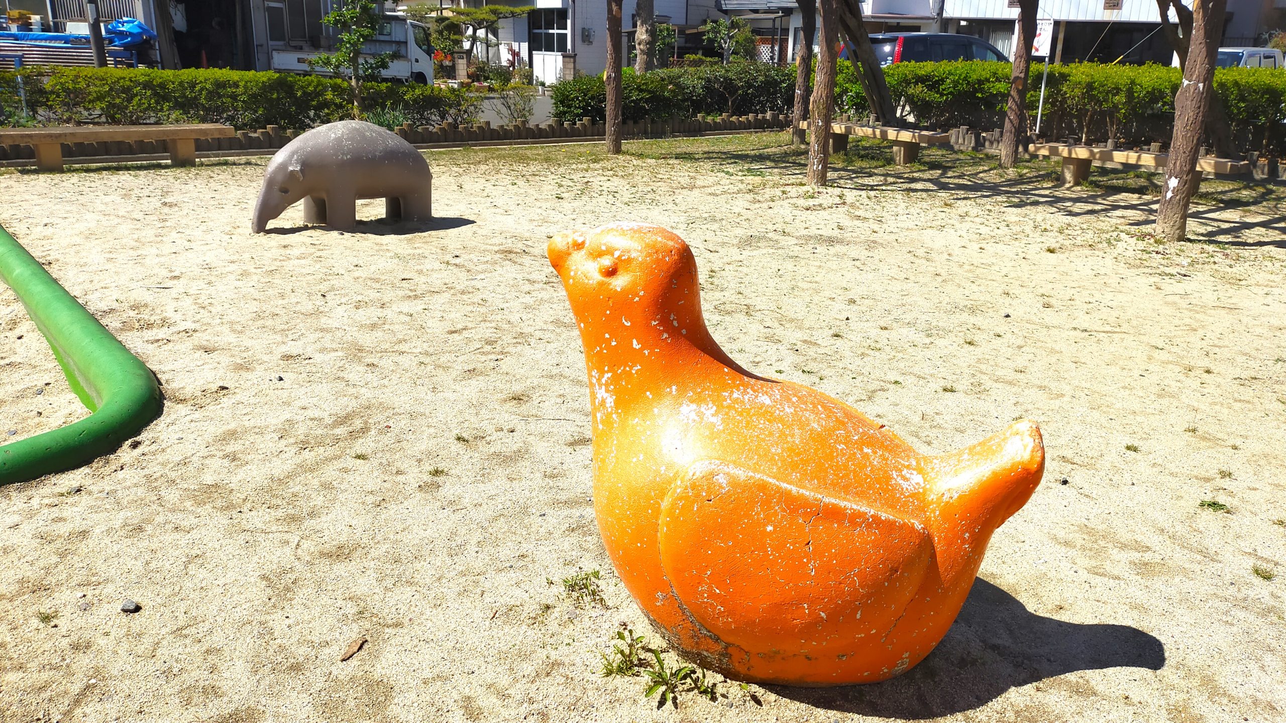 ハトとアリクイも見守っています・・・