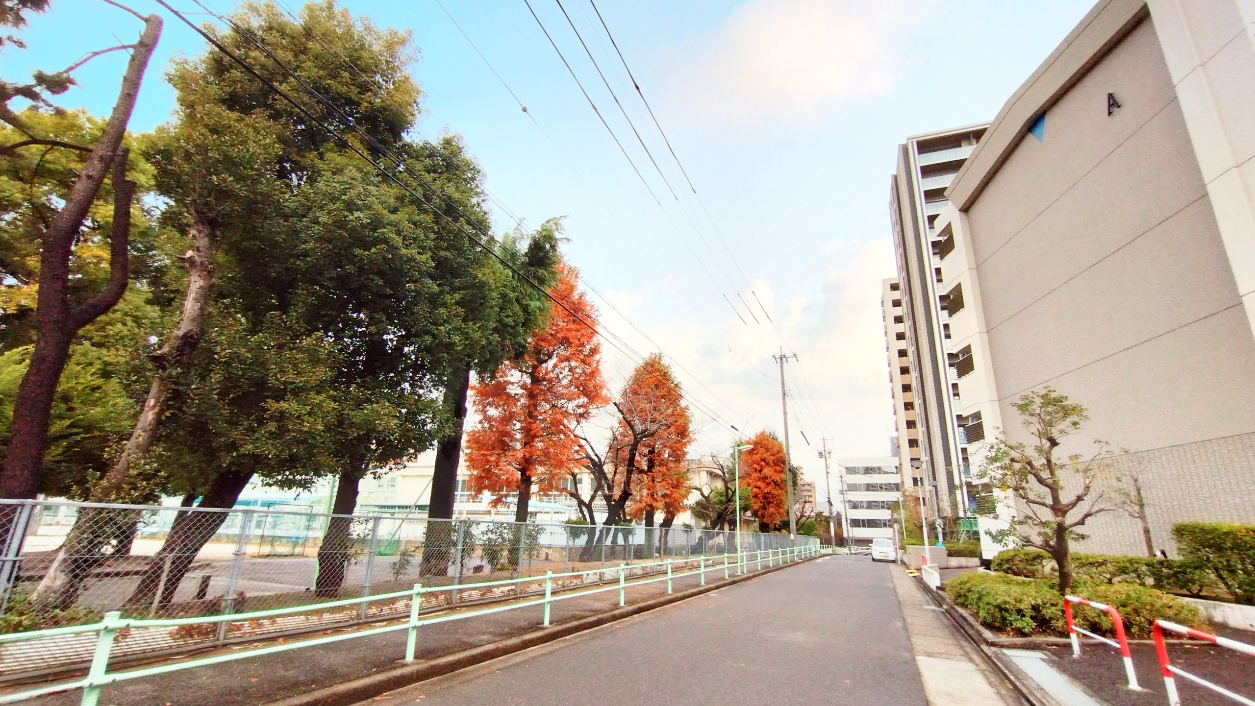 西側には伊勢山中学校も隣接しています