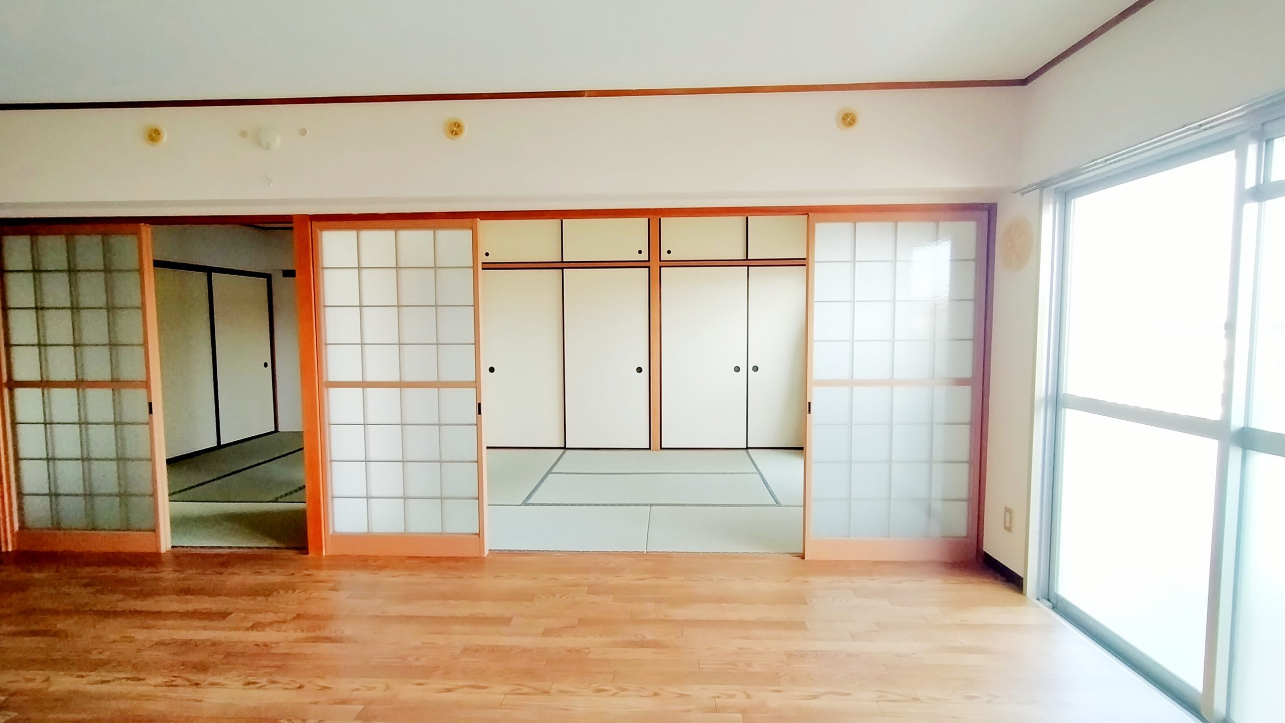 柔らかな日差しが差し込みます