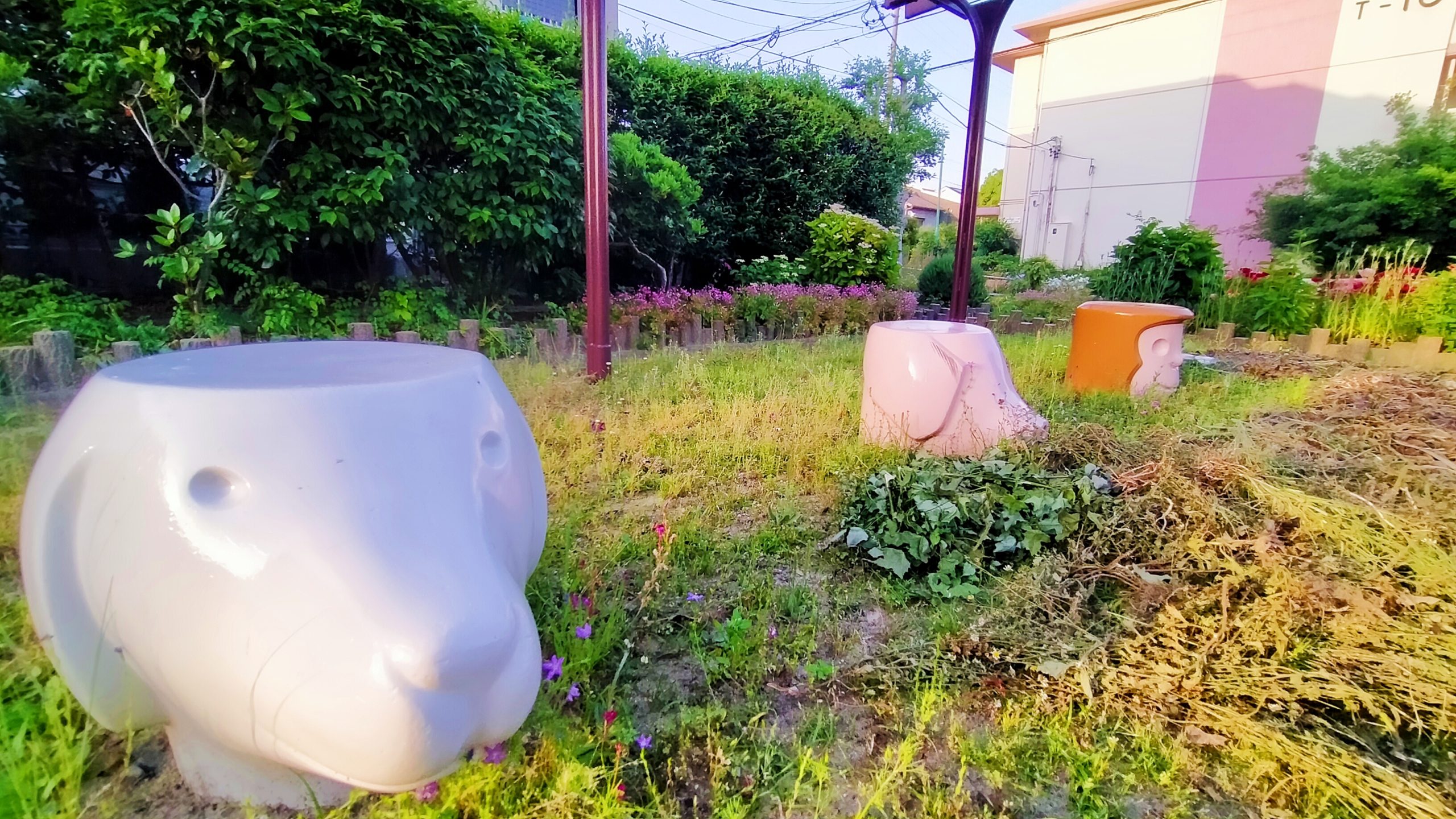 いぬ・ぶた・さるも見守っています