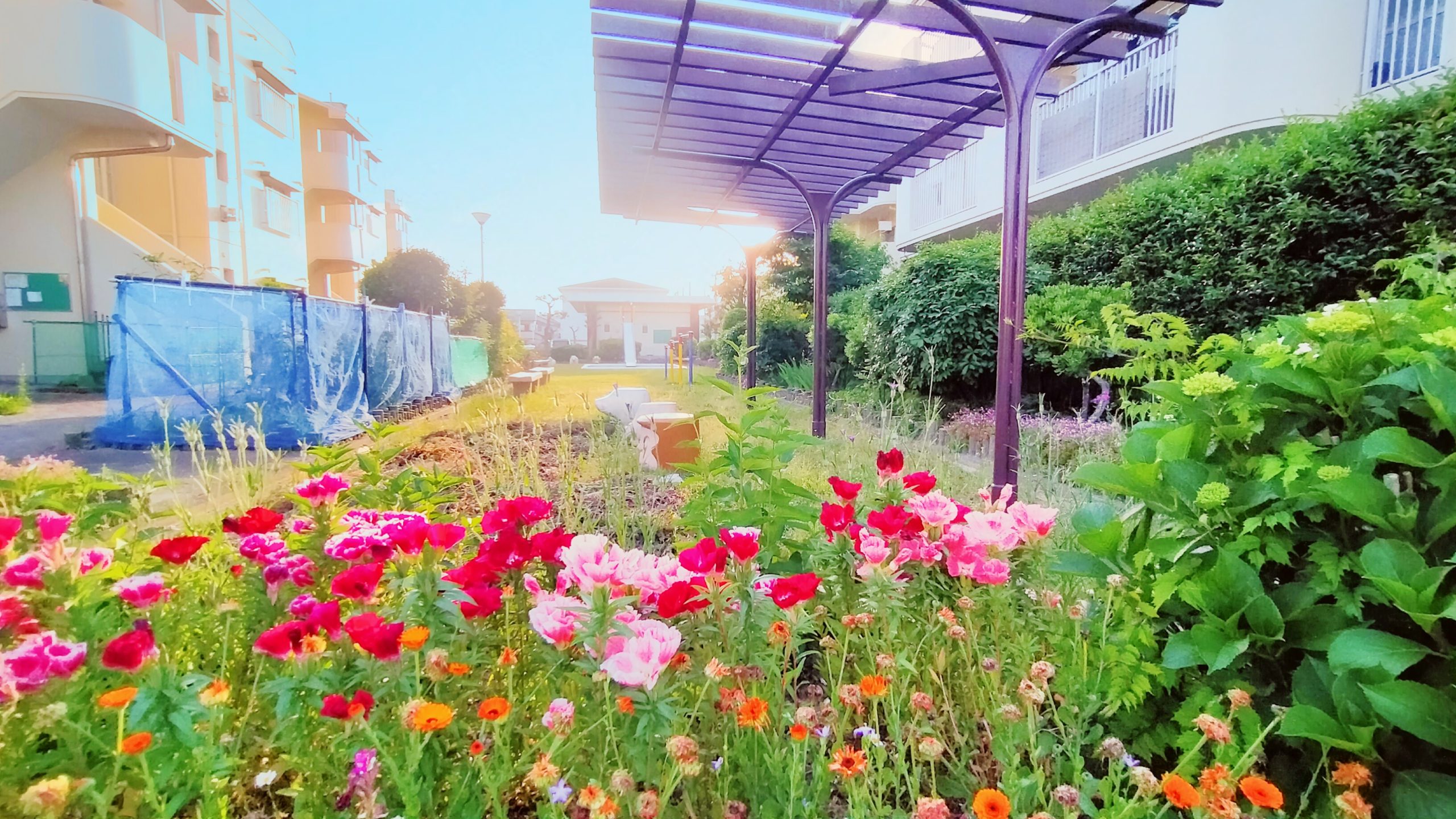 緑豊かで花々であふれるキッズパーク
