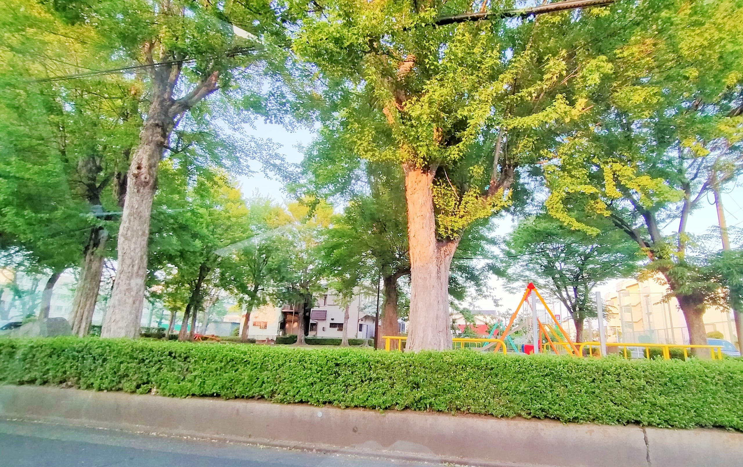 すぐ北側には土古西公園も