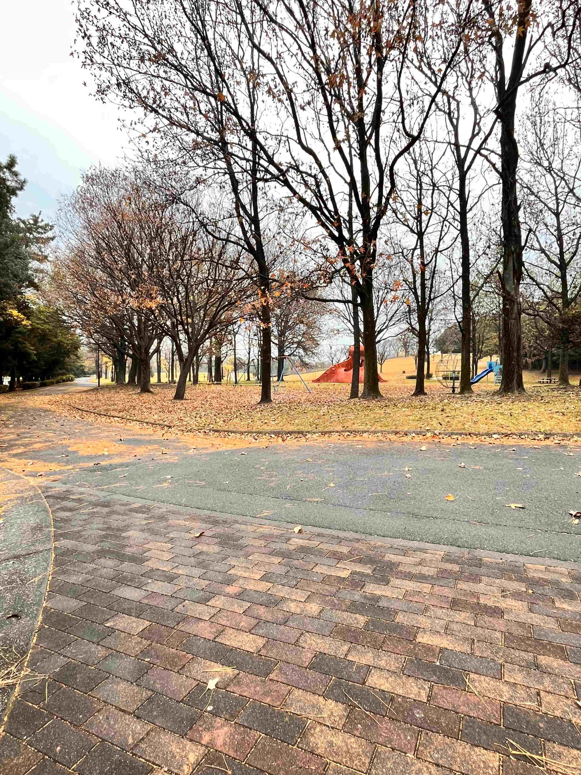 稲永東公園。住宅付近には大きな公園がございます。