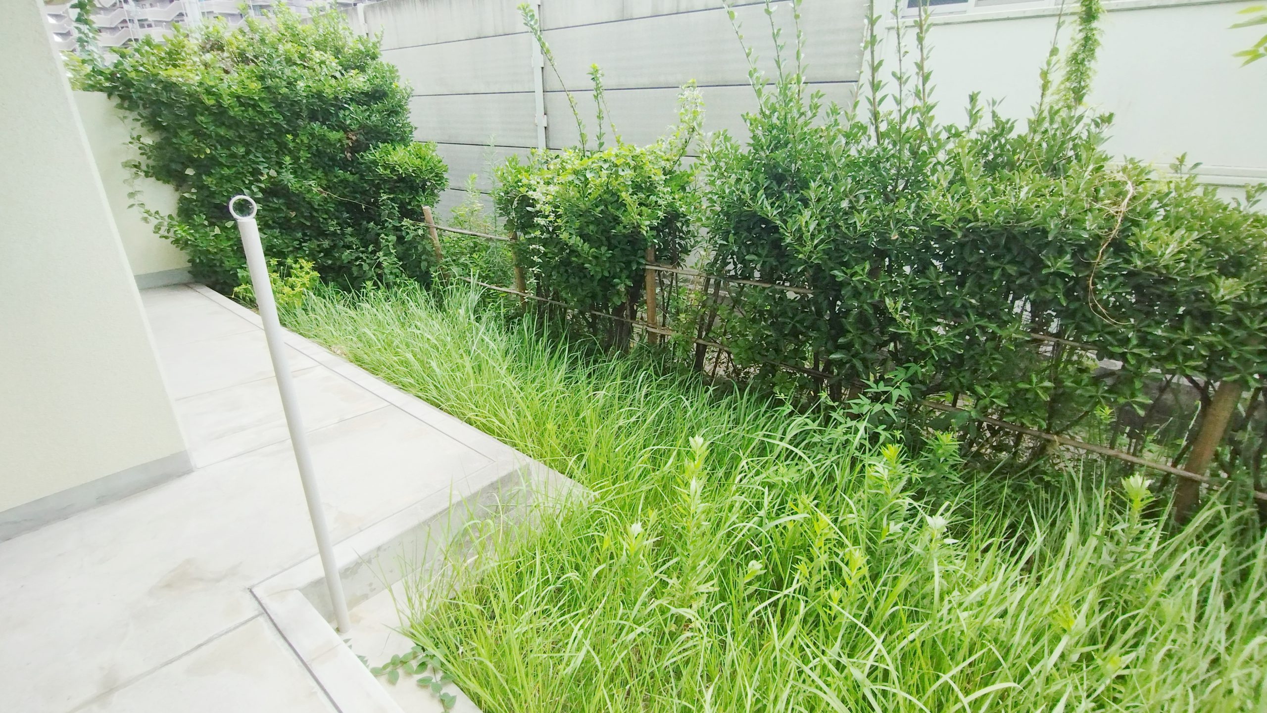 専用庭でお子様も遊んでいただけます